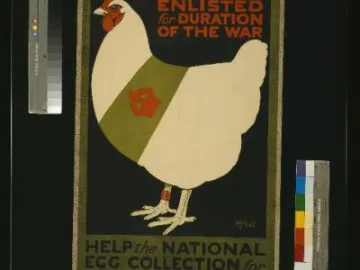WW1 Egg Poster