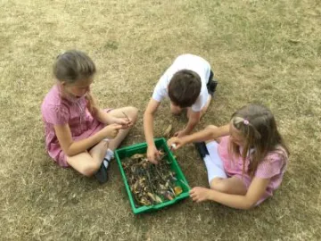 E8761F25-2A5C-4363-A638-82C60DB36511