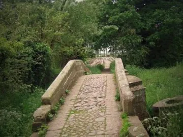Photo Eastern Gowy Bridge Showing Trees