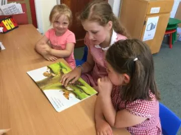 Image: 0DD3B99C-93BC-4AB2-B835-E682EE518D76