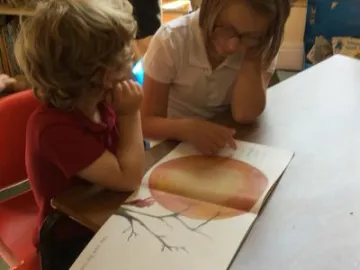 B44F24D3-2DAE-4E38-ABB1-D97F335AFE04