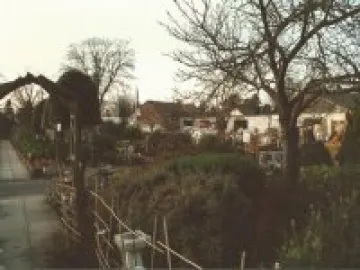 Nursery site view 5