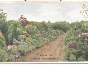 Border_postcard_1_incdpi