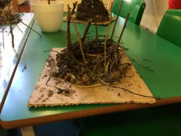 Image: 11F3B13A-AF82-411B-A5E0-1872B4200429