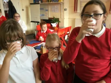 Image: 8ABF7039-0346-4A63-A50D-913455486248