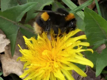 PHOTO-2020-05-02-12-54-23