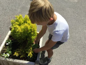 Image: 7A3DF92D-41CB-4AEF-9075-2E3CD0D6AC9E