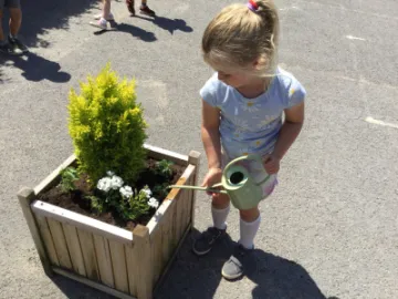 Image: 3EEAF142-8058-4285-9DB6-02C8EAF491C7