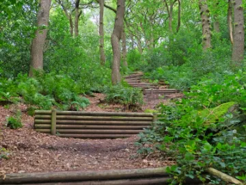 Stairway to Heaven_JT