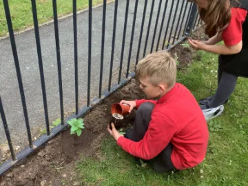 Image: 708C986A-AF7D-4228-B761-B88D336A39FC