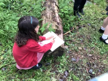 Image: 5424CC8F-6550-42E8-98A7-926C94AEF1FE