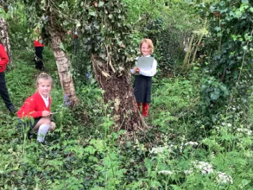 Image: 911D6F18-F3A2-4060-BED3-1724204344A9