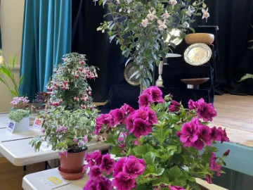 Image: 8CC1B620-C5F7-4712-AC62-286D381D26D6