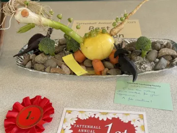 Image: 295F56CC-9295-4C1F-95E5-5E1A3C902C91