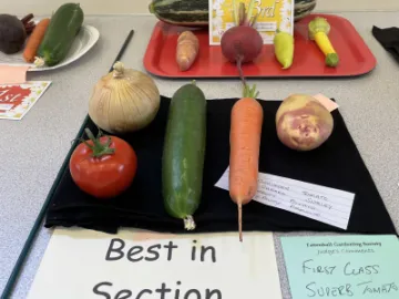 Image: 69261725-924B-4BA7-A61B-AFA595224C24