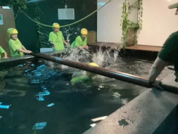 D79AADE7-AB27-4154-90CB-D92BE33F3191