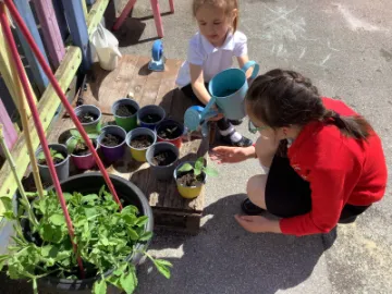 41140B75-4229-4823-B931-B9365383A3E5