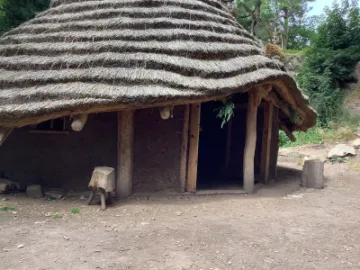 BE0E5F1C-5A99-45D1-8164-2FB4E786B78A