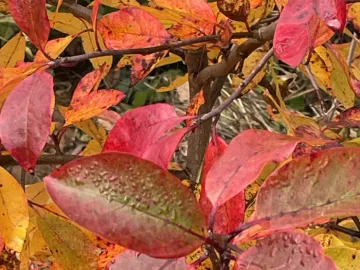 0641CE93-C790-4EE8-85B8-24FE0E811C87