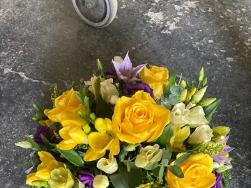 Processed-17144537-584d-4ad7-9