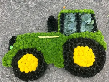 Processed-861173d4-15d2-44fd-A