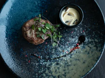 Elegant plated steak dish garnished with microgreens and served with creamy mushroom sauce.