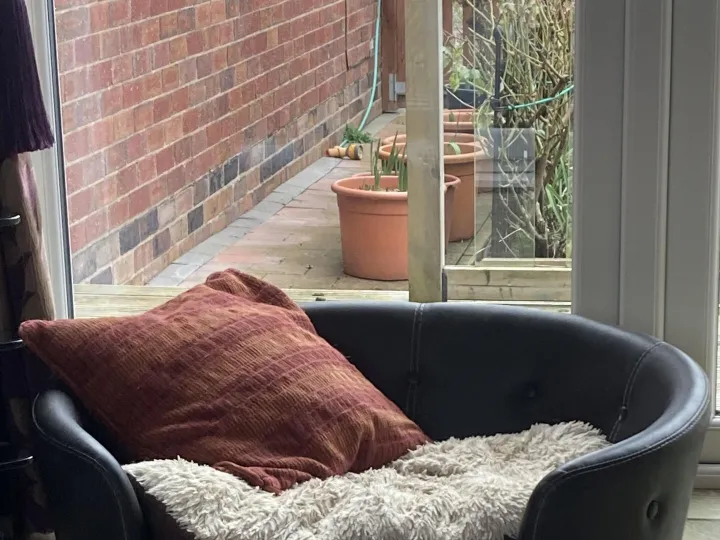 Items for sale &ndash; Leather dog basket/bed &pound;40