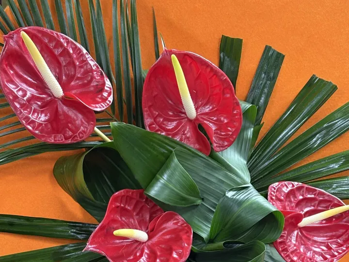 April 8 Flower Club