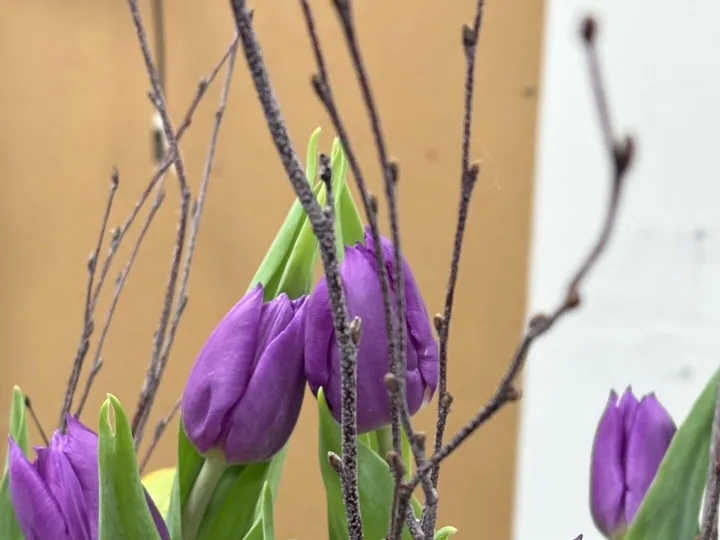 April 8 Flower Club