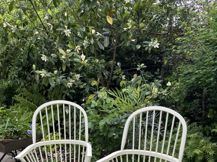 Items for sale
– John Lewis Carvers £50