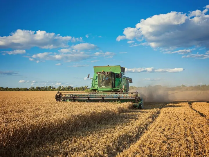 Harvesting combine in the field
