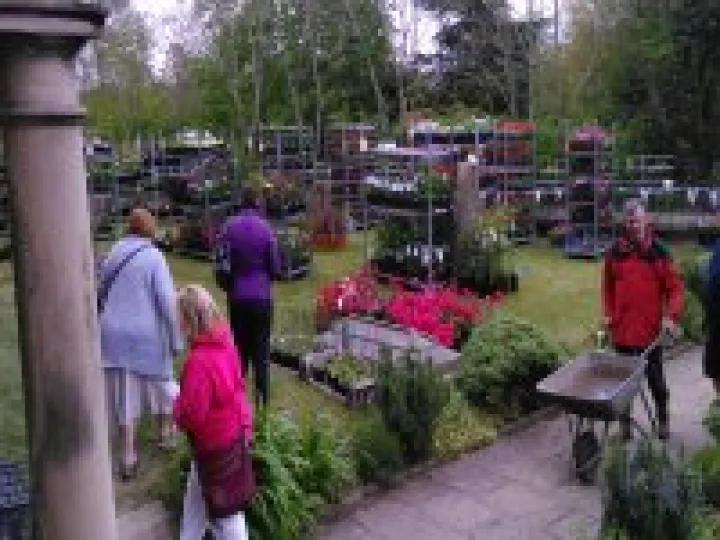 2015 Plant sale