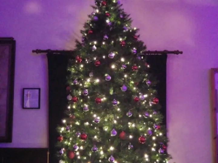 20151221_200422_Burst03_resized