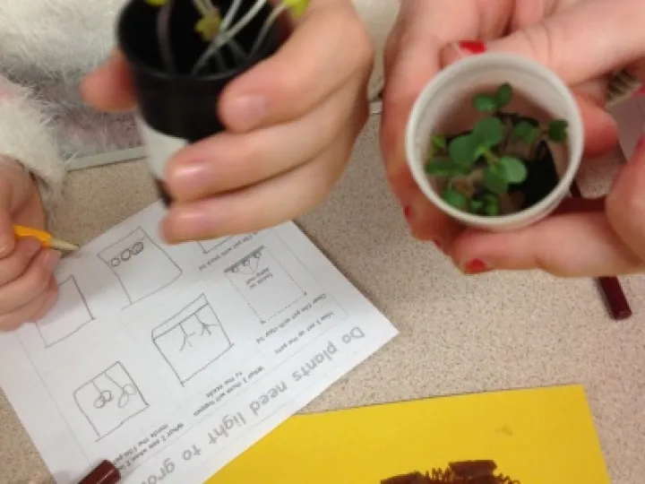 Brownies science investigation badge