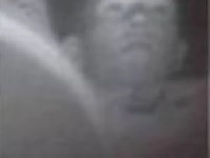 Catalytic Converter Thief