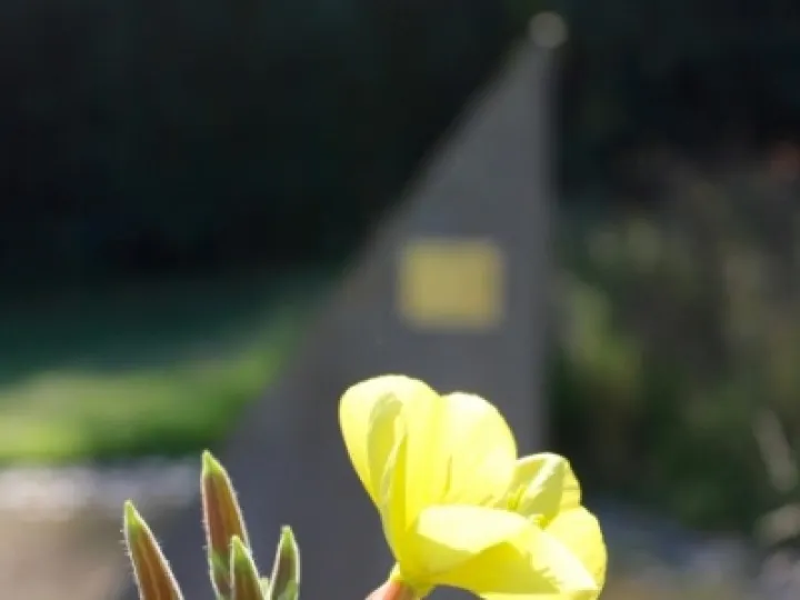 Last Import   11 of 20