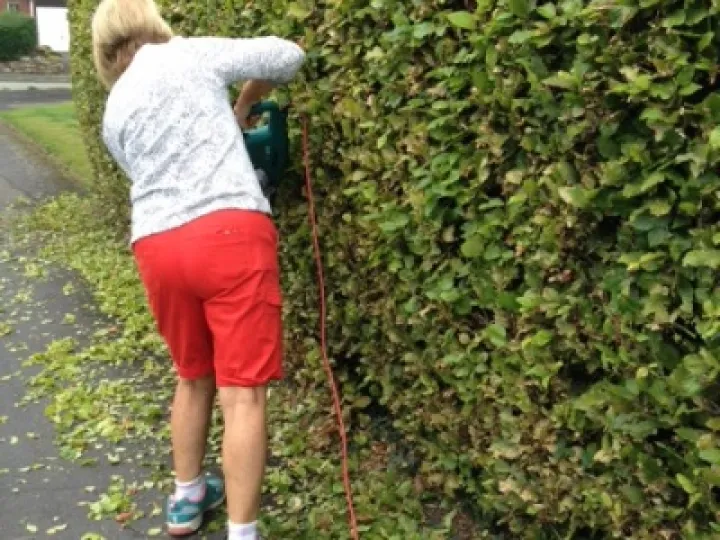 Lady Cutting ExternaL Hedge