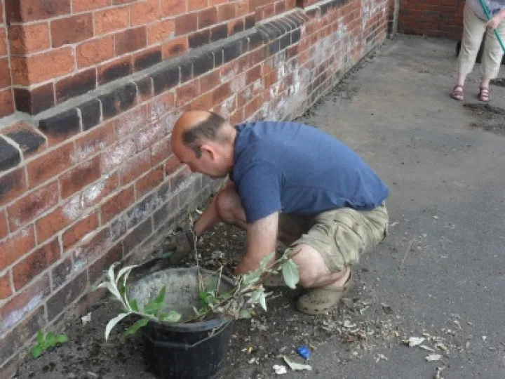 Gardening Blitz Buckley (1)