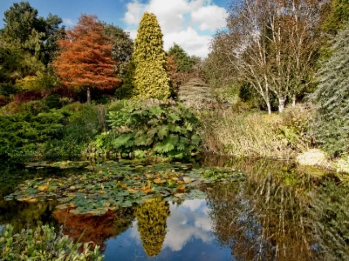 Dorothy Clive Garden