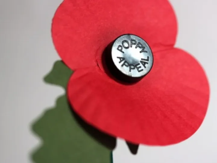 poppy-appeal