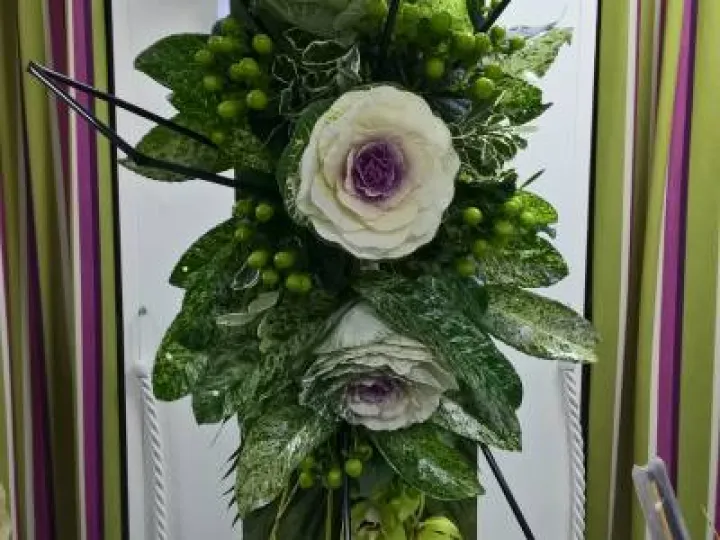 Flower Club Jan 2017 Wp_20170111_21_31_06_pro