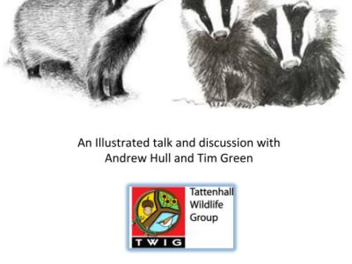 BadgerPoster