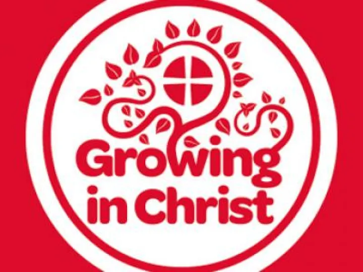 Circuit logo white on red square