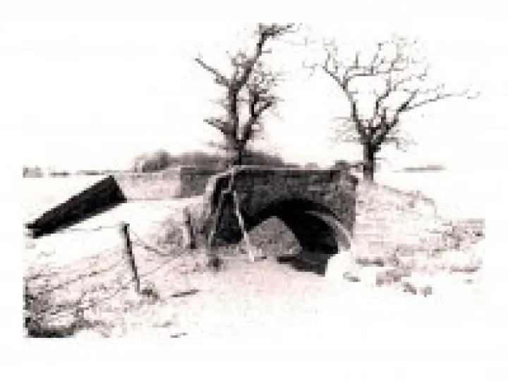 Roman Bridges