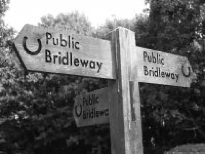 Community Woodland walk