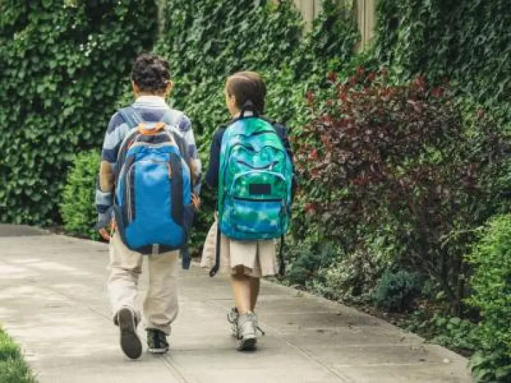landscape-1452716345-children-walking-to-school