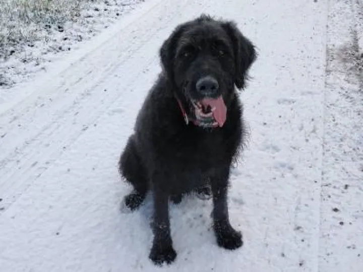 24909547_1752182074793641_6933085608584707081_n