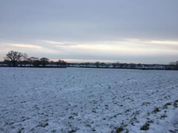 image3