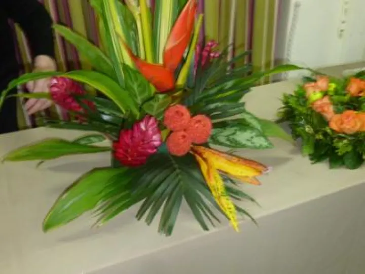 Design 5 Feb 2018 P1030471