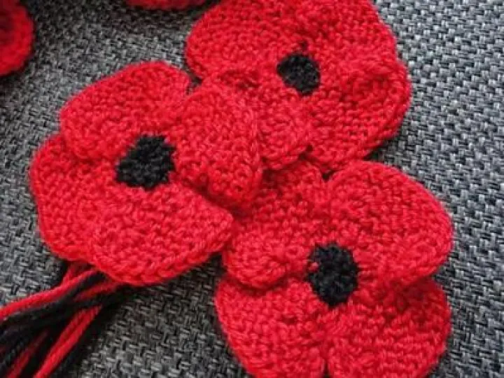 394ff516d966db246ef6e8a38ddeffd8-knitted-poppies-knitted-flowers